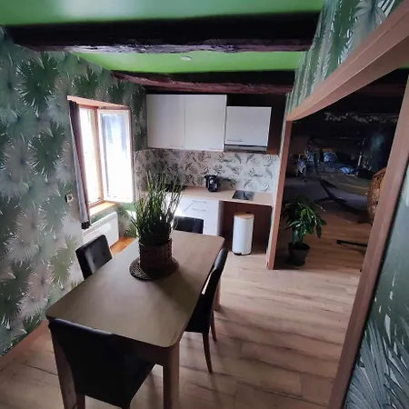 L'evasion Jungle Apartment